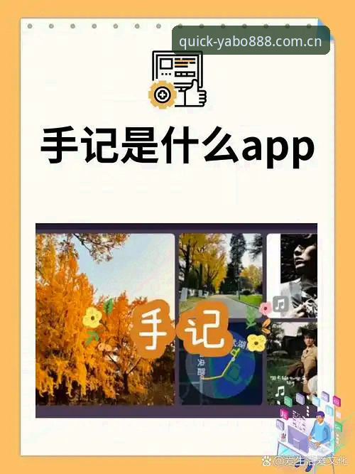 揭秘yabo888 APP安卓安装包：一个新手用户连续7天的真实体感与操作手记